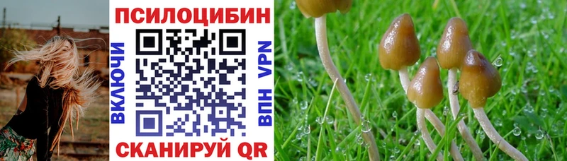 Галлюциногенные грибы Psilocybine cubensis Железногорск-Илимский